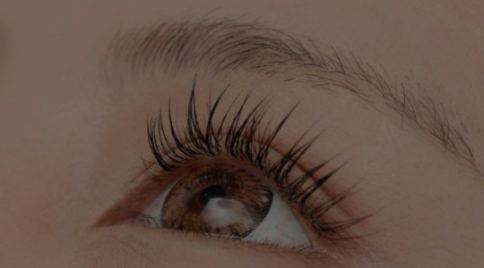 Preguntas Frecuentes