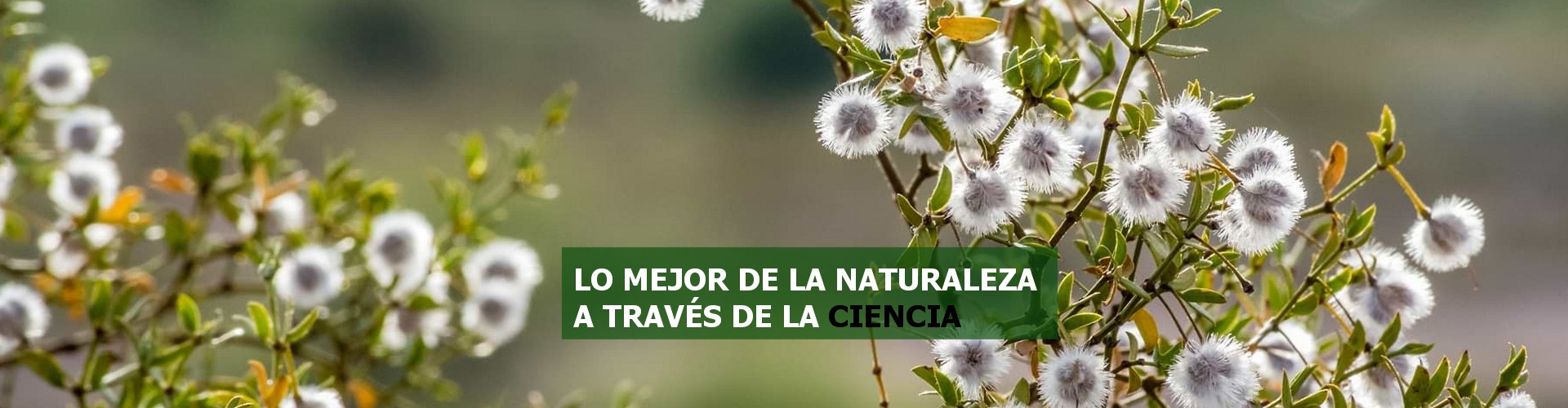 Lo mejor de la naturaleza a través de la ciencia
